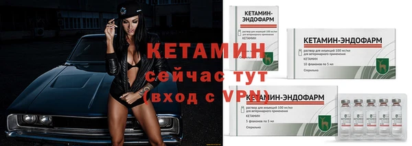 индика Беломорск