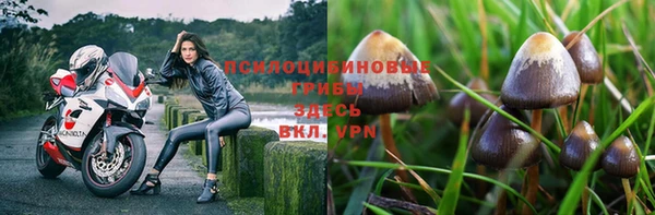 скорость Баксан