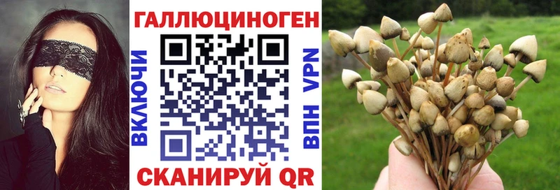 Галлюциногенные грибы Magic Shrooms Куса